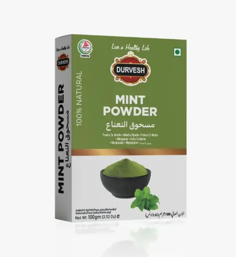 Durvesh Mint Powder 100g 